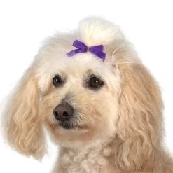 Aria Multi Colour Bow Canister 3/8in 100 PC -Pet Products Store AR 16199 2