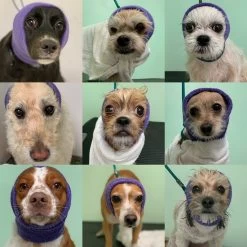 Happy Hoodie Pink, X-Small -Pet Products Store HH 00 PK 2