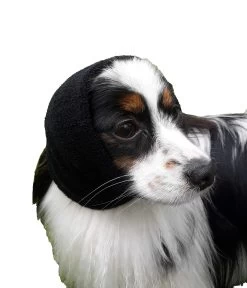 Happy Hoodie Purple, X-Small 12 Happy Hoodie Purple, X-Small -Pet Products Store HH 00 PP 3