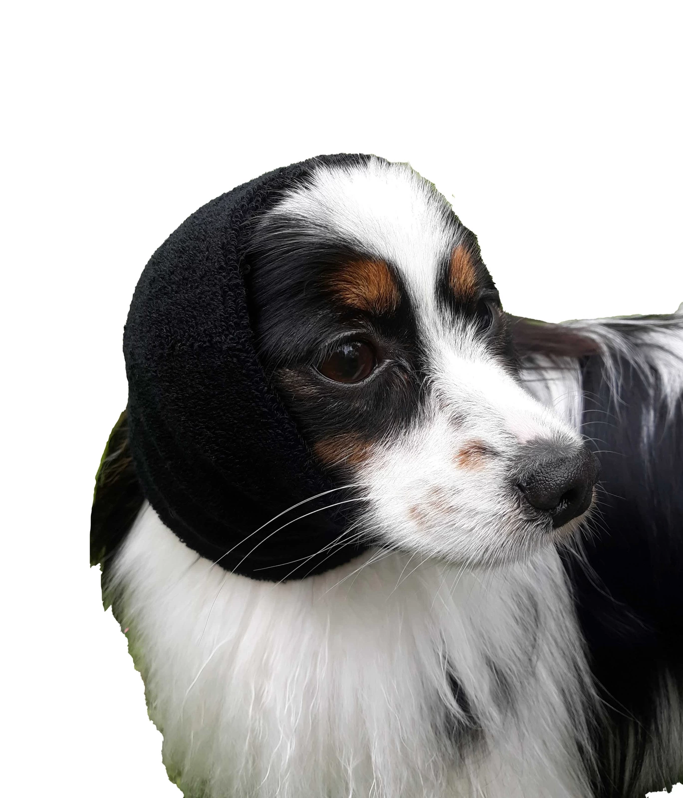 Happy Hoodie Purple, X-Small 4 Happy Hoodie Purple, X-Small - Image 4