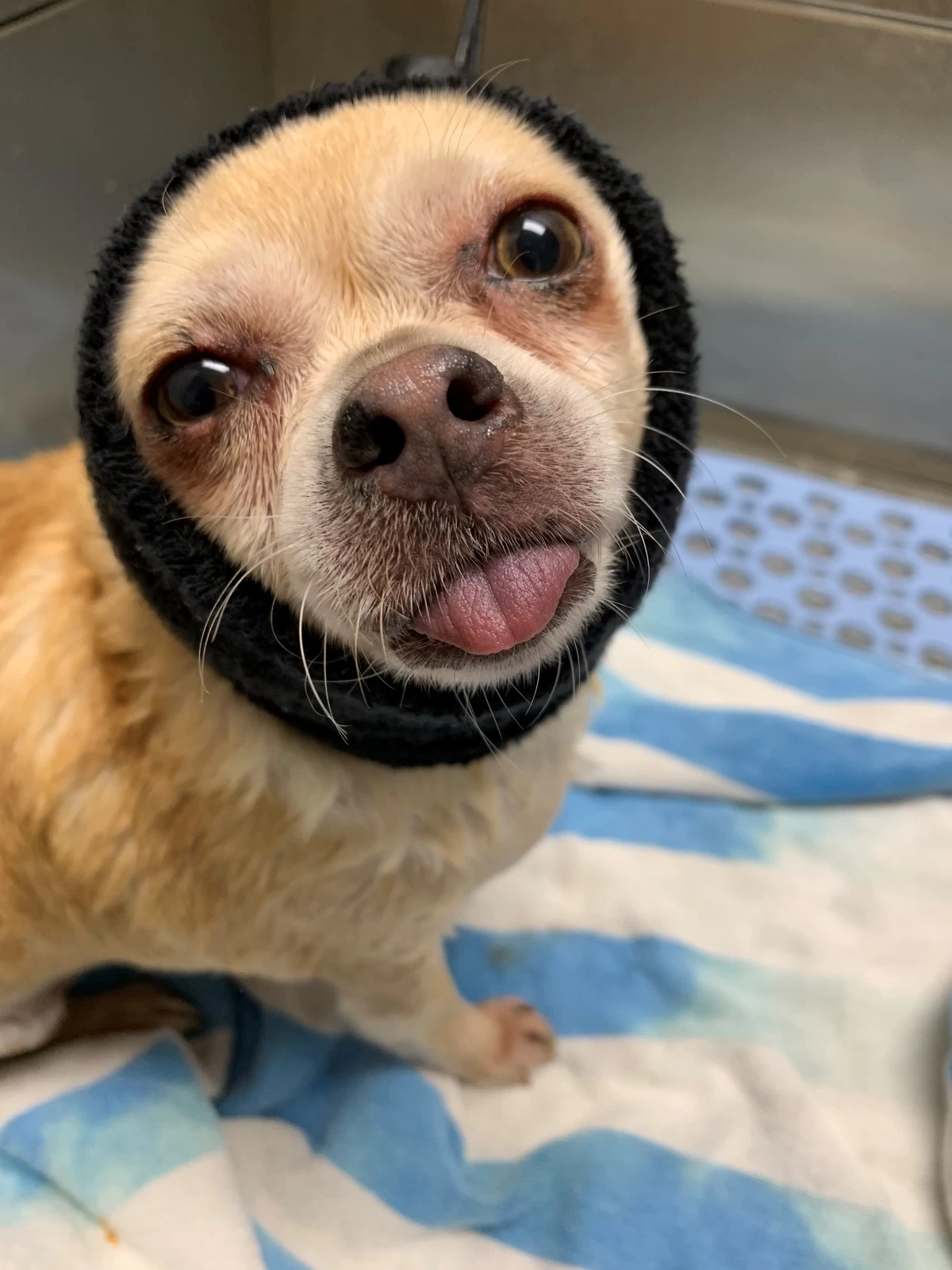 Happy Hoodie Purple, X-Small 5 Happy Hoodie Purple, X-Small - Image 5