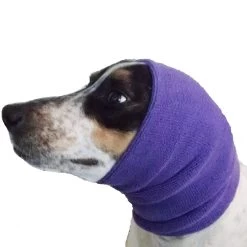 Happy Hoodie Purple, Pack Of 2 -Pet Products Store HH 01 PP 4