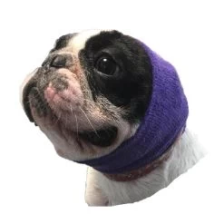 Happy Hoodie Purple, Pack Of 2 -Pet Products Store HH 01 PP 5