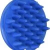 Grooma Original Curry Brush (Blue)