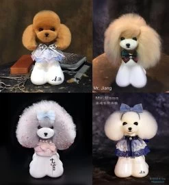 Mr. Jiang Set Of 4 Colours Head Hair With 1 Free Head Mannequin