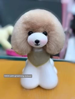 Mr. Jiang Teddy Bear Head Hair / Model Dog [Champagne] -Pet Products Store MJ TB04C 2