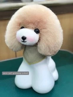 Mr. Jiang Teddy Bear Head Hair / Model Dog [Champagne] -Pet Products Store MJ TB04C 3