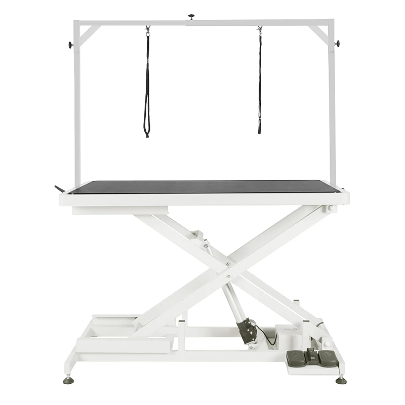 Shernbao Low-Low Electric Lifting Table 1 Shernbao Low-Low Electric Lifting Table