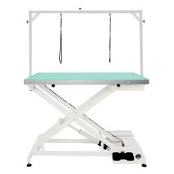 Shernbao Electric Lifting Table With LED Light And H Frame