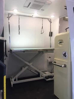 Shernbao Electric Lifting Table With LED Light And H Frame 9 Shernbao Electric Lifting Table With LED Light And H Frame -Pet Products Store S FT829 H 4