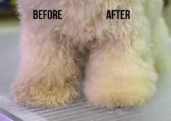 Show Tech Dry Shampoo 100g -Pet Products Store ST 90021 3