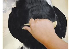 Show Tech Ultra Pro Set Of 4 Stripping Knife -Pet Products Store ST 93581 6