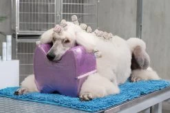 Show Tech Topknot Cushion Pillow Glitzy Purple - Large -Pet Products Store ST 94916 2