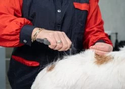 Show Tech Comfy Stripping Stick 13mm Double Sided -Pet Products Store ST 95086 2