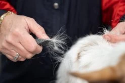 Show Tech Comfy Stripping Stick 13mm Double Sided -Pet Products Store ST 95086 3