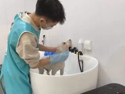 Aeolus Acrylic Bathing Tub With Faucet And Sprayer Kit - Free Booster -Pet Products Store T BTF1200DB 3