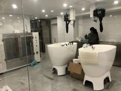 Aeolus Acrylic Bathing Tub With Faucet And Sprayer Kit - Free Booster -Pet Products Store T BTF1200DB 7