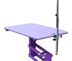 Aeolus Classic Z Shape Electric Lifting Table - Medium [Purple] -Pet Products Store T FT802E PP 2