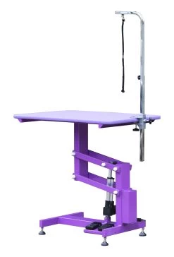Aeolus Classic Z Shape Electric Lifting Table - Medium [Purple]