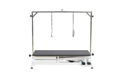 Aeolus Low-Low Electric Lifting Table Eco Version -Pet Products Store T FT808 ECO 2