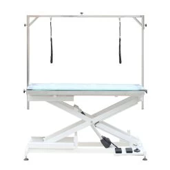 Aeolus Electric Lifting Table With LED Light
