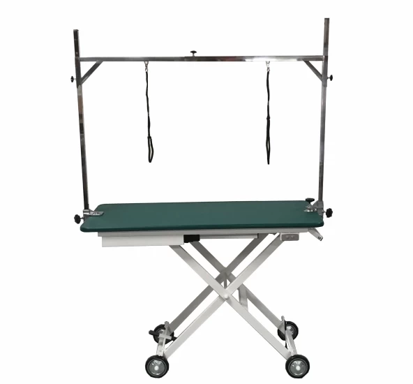 AEOLUS Electric Competition Table 1 AEOLUS Electric Competition Table