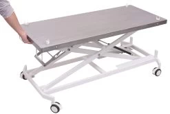 Aeolus Transportation Table -Pet Products Store T FT835 4