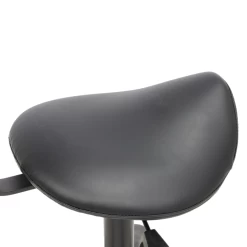 Groomer's Saddle Stool With Back Rest (Black) -Pet Products Store T GC010 2