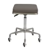 Groomer's Modern Groomer Stool With Square Cushion (Grey)