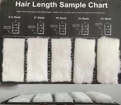 Aeolus Hair Length Sample / Clip Chart