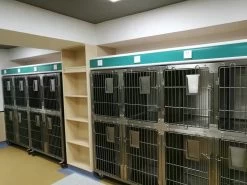 Aeolus KA509T Stainless Steel Modular Cage (2019 Model) [Design 4] -Pet Products Store T KA509TD4 7