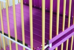 Aeolus 4-Berth Show Trolley With 6" Rubber Wheels - Large [Gold And Purple] -Pet Products Store T KB511NAF GP Kit6W 4