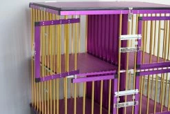 Aeolus 4-Berth Show Trolley With 6" Rubber Wheels - Large [Gold And Purple] -Pet Products Store T KB511NAF GP Kit6W 5